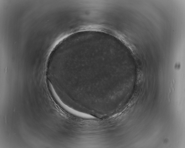 X0000098231312200805151331