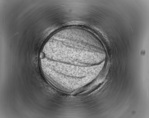 X0000098231313200805151331