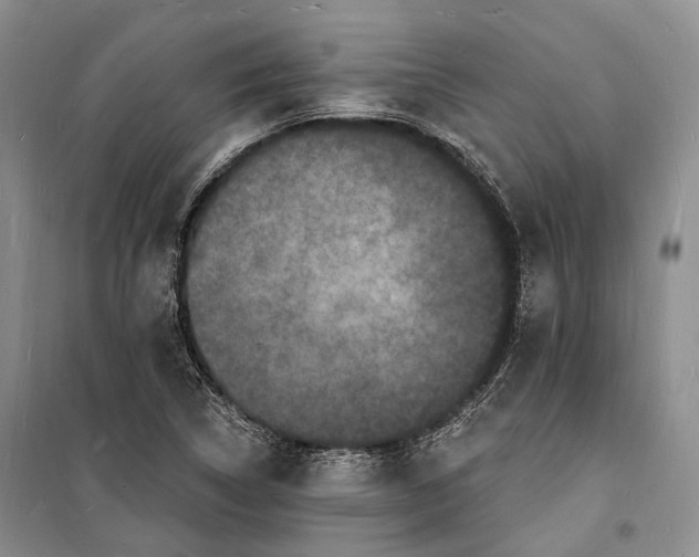 X0000098231314200805151331