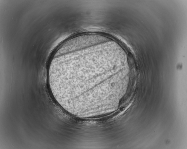 X0000098231317200805151331