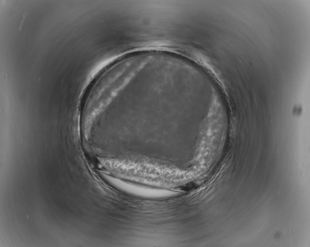 X0000098231320200805151331