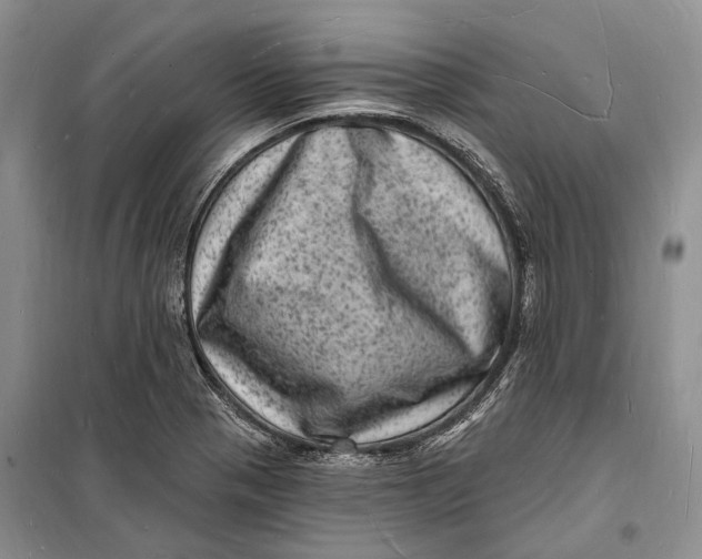 X0000098231321200805151331