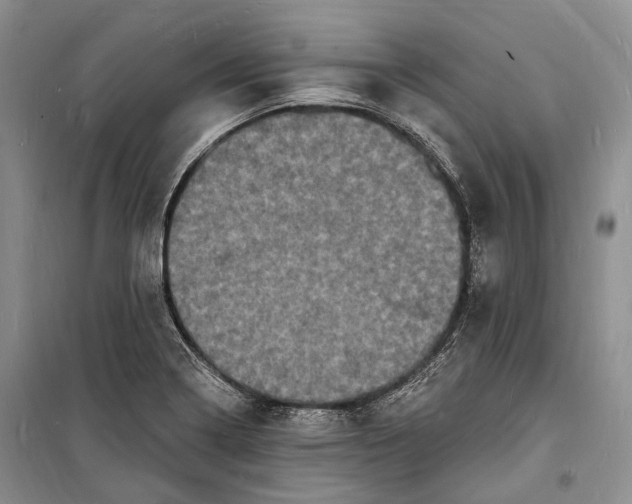 X0000098231322200805151331