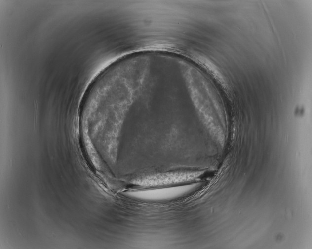 X0000098231324200805151331