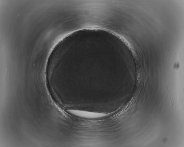 X0000098231327200805151331