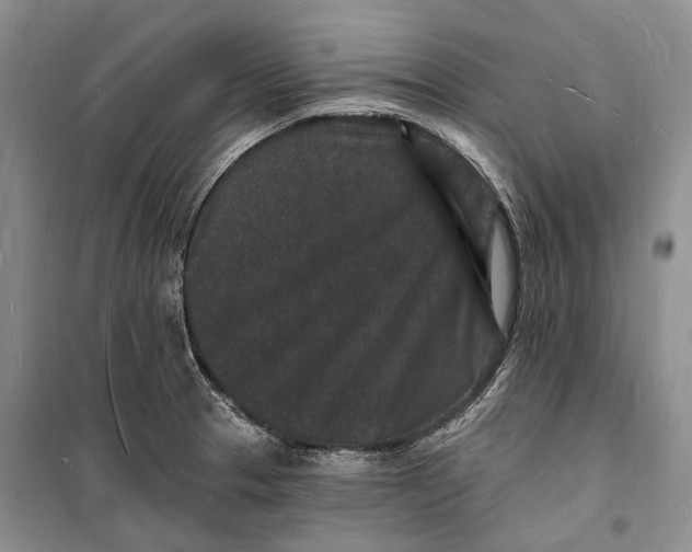 X0000098231329200805151331