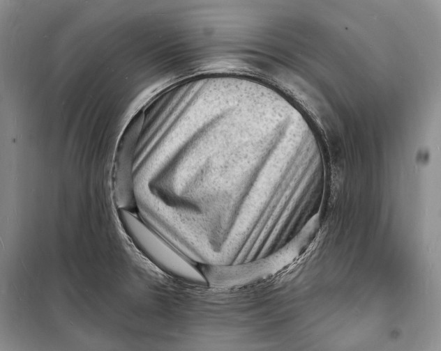 X0000098231330200805151331