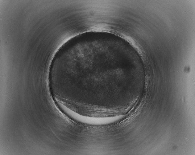 X0000098231331200805151331