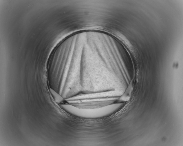 X0000098231332200805151331