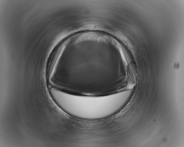 X0000098231334200805151332