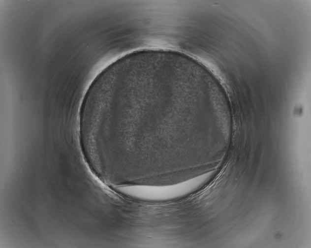 X0000098231335200805151332