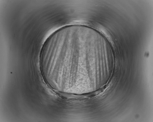 X0000098231336200805151332