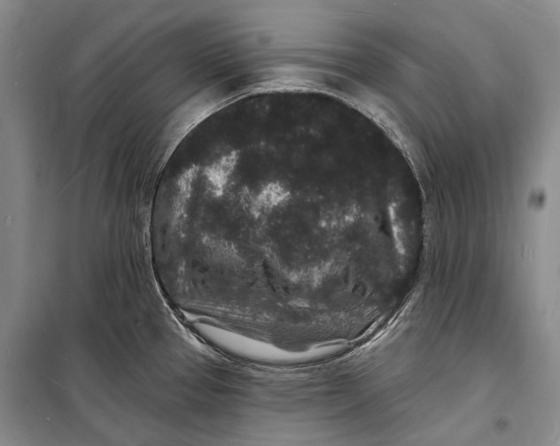 X0000098231337200805151332