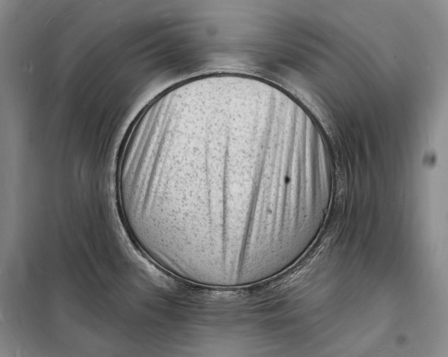 X0000098231339200805151332