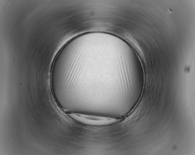 X0000098231340200805151332