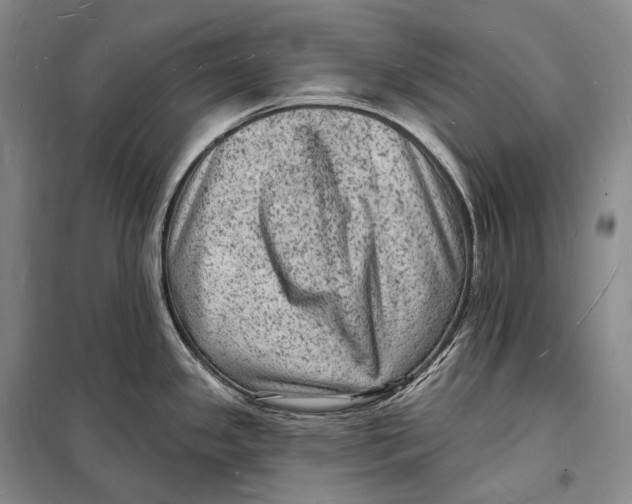 X0000098231341200805151332