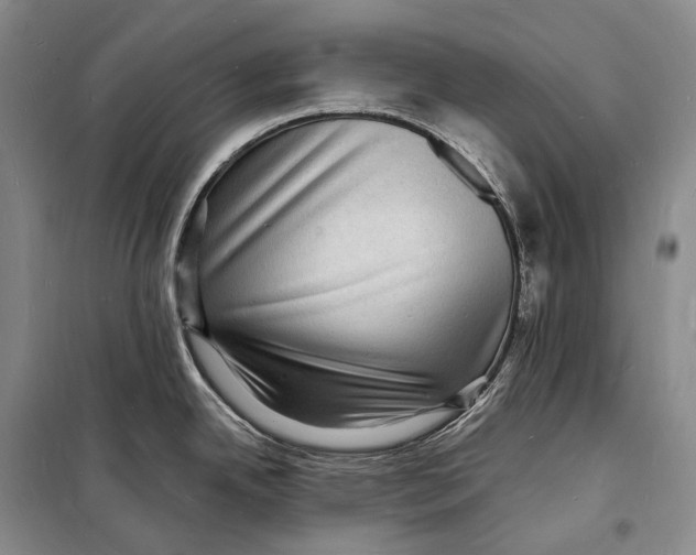 X0000098231342200805151332