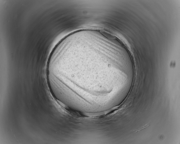 X0000098231344200805151332