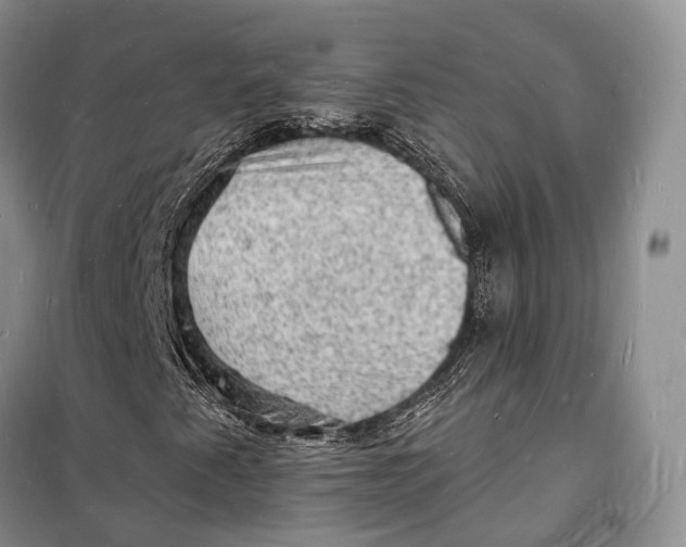 X0000098231345200805151331