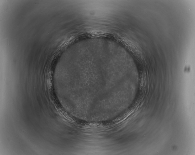 X0000098231346200805151331