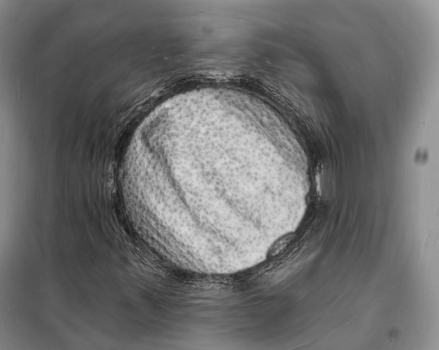 X0000098231347200805151331