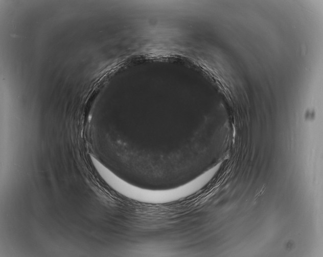 X0000098231348200805151331