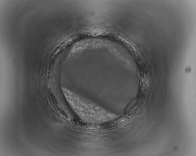 X0000098231349200805151331