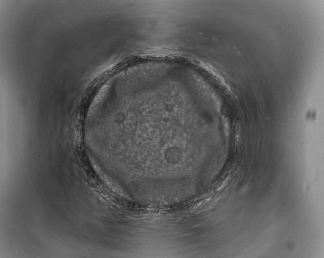 X0000098231350200805151331