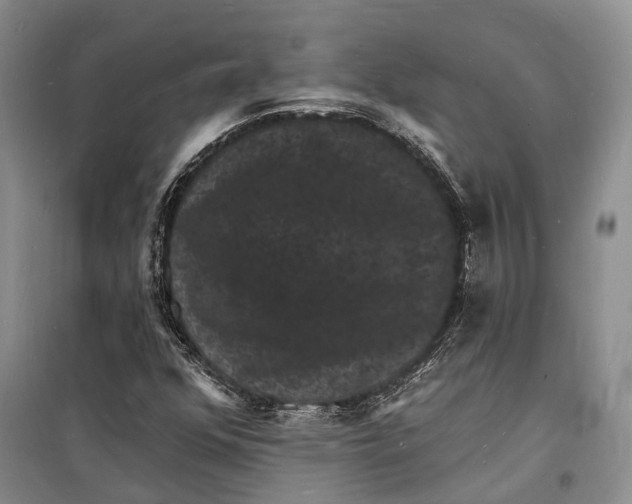 X0000098231352200805151331