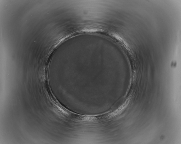 X0000098231353200805151331