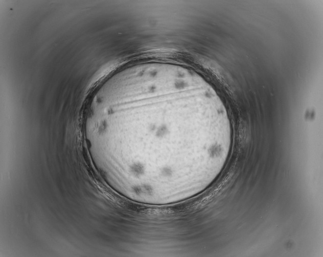 X0000098231354200805151331