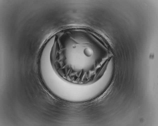 X0000098231357200805151331