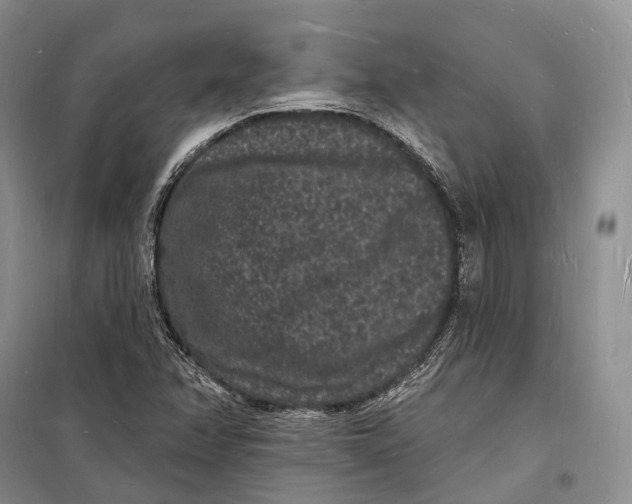 X0000098231358200805151331