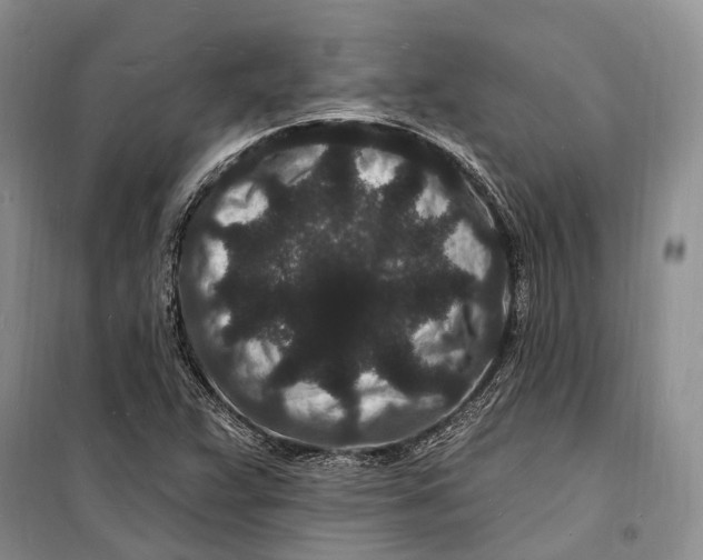 X0000098231359200805151331