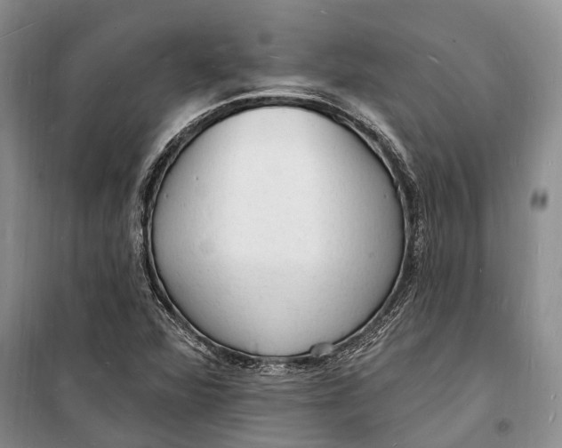 X0000098231360200805151331