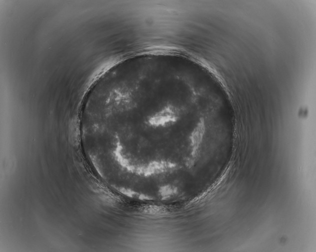 X0000098231362200805151331