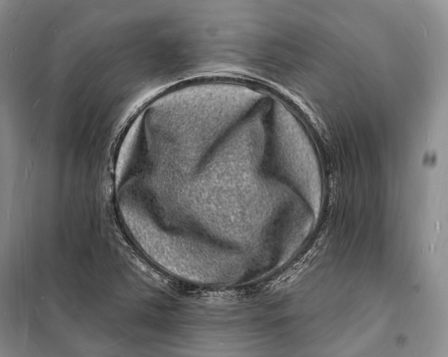 X0000098231363200805151331