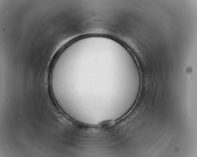 X0000098231364200805151331