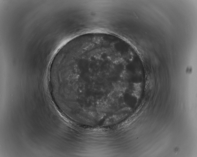 X0000098231367200805151330