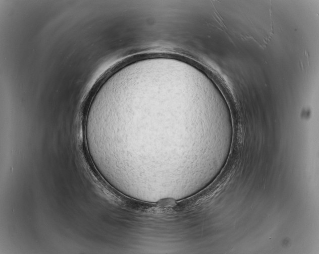 X0000098231368200805151330