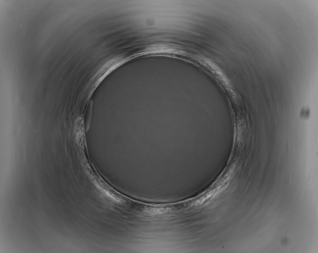 X0000098231369200805151330