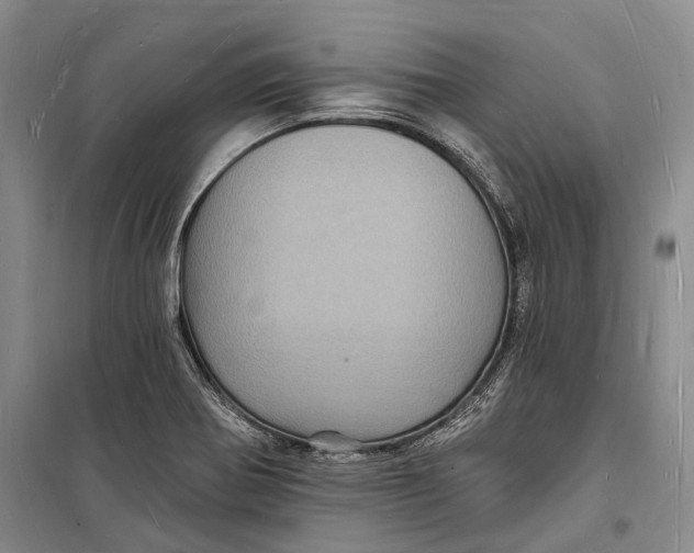 X0000098231370200805151330