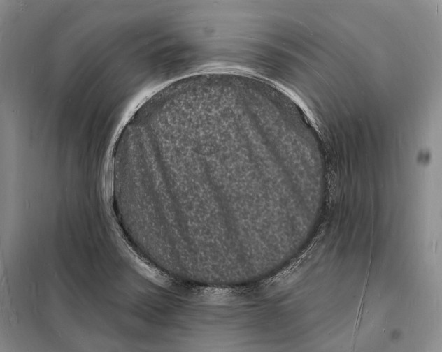 X0000098231371200805151330