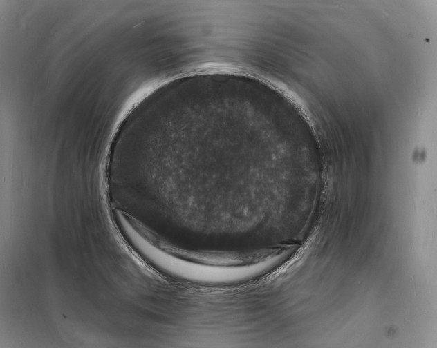 X0000098231373200805151330