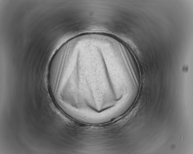 X0000098231374200805151330