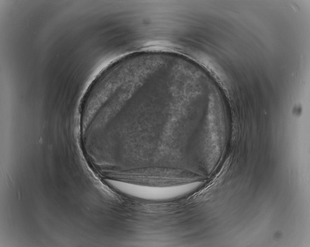 X0000098231376200805151330