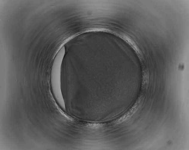 X0000098231377200805151330