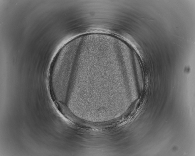 X0000098231379200805151330