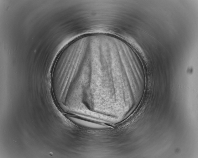 X0000098231380200805151330