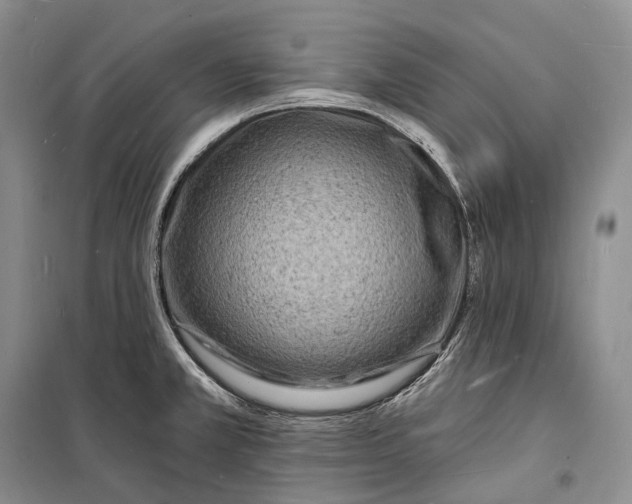 X0000098231381200805151330